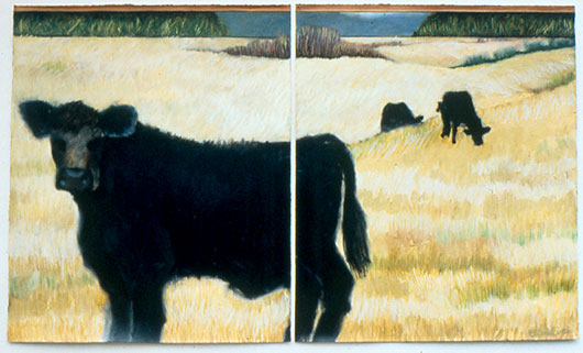 Black Cows in Winter Fields