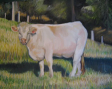 White Cow