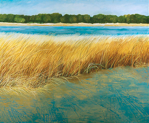 Yellow Grasses on Blackfish Creek