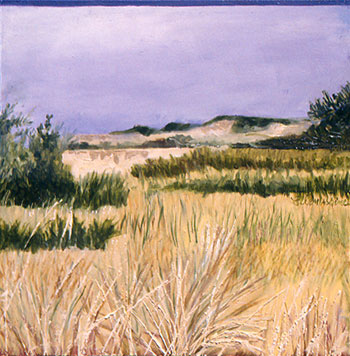 Cape Cod #10: Distant Dunes