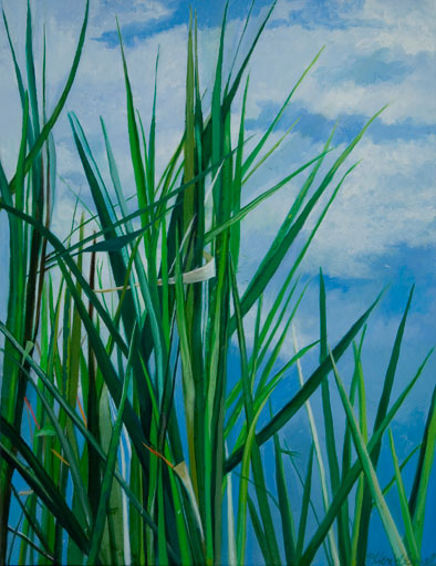 Blades of Grass in a Blue Sky