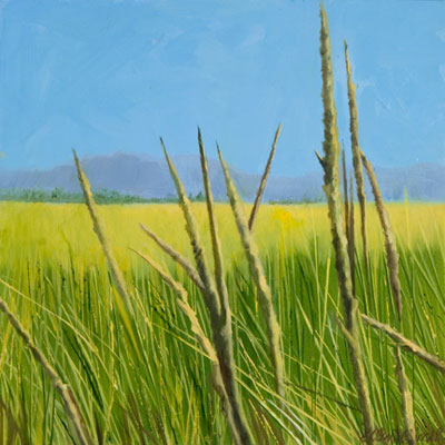 Meadow of Grasses