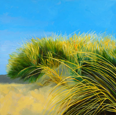 Soft Dune Grasses