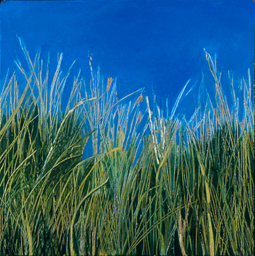 Beach Grasses #5