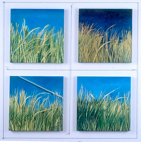 Cape Cod Grasses 1, 2, 3, 4