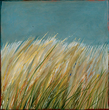 Grey Beach Grasses 1