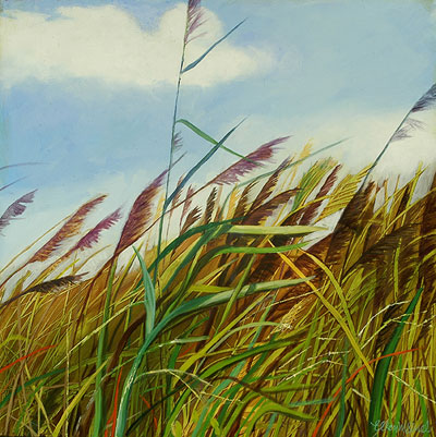 Myriad of Grasses III "In a Wind"