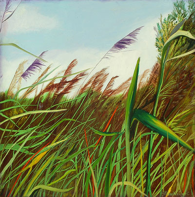 Myriad of Grasses IV "Untamed"