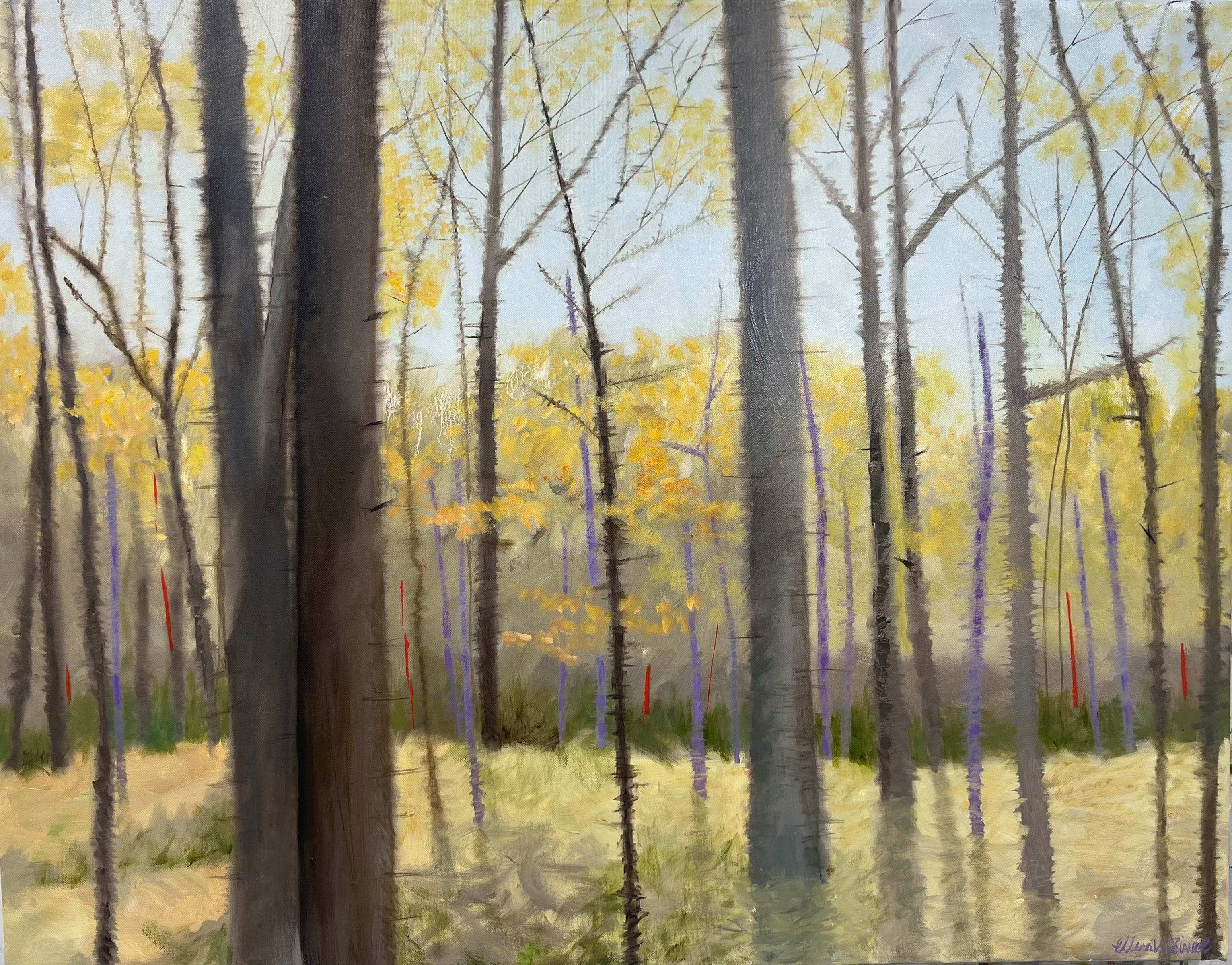 Misty Fall Trees